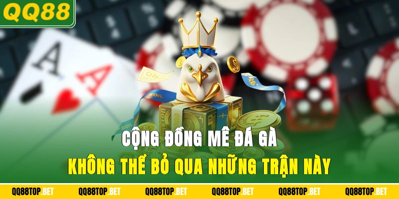 Cộng đồng mê đá gà không thể bỏ qua những trận này