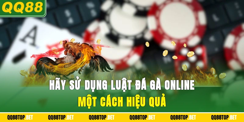 Hãy sử dụng luật đá gà online một cách hiệu quả