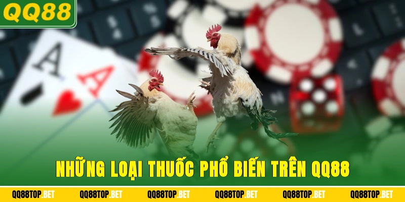 Những loại thuốc phổ biến trên QQ88