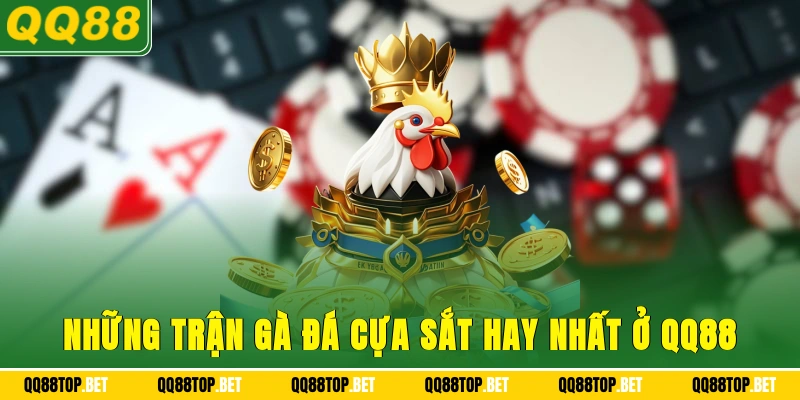 Những trận gà đá cựa sắt hay nhất ở QQ88